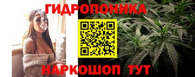 сатива Тулун